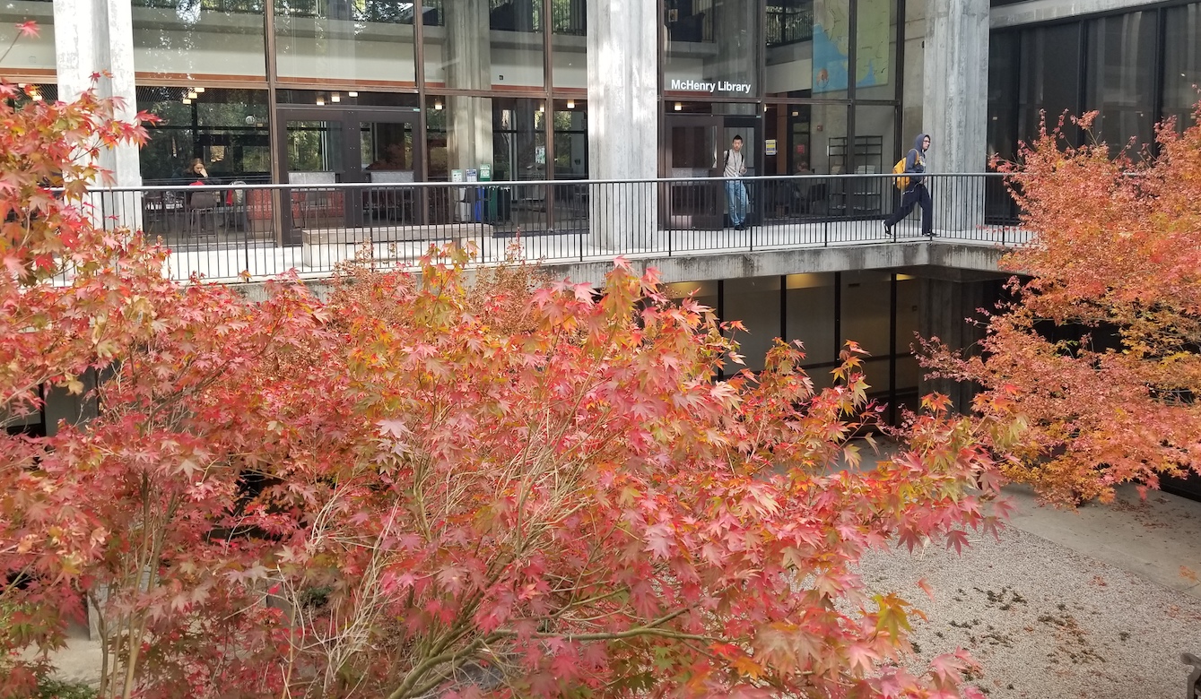 Beautiful autumn colors frame the Donald T. Clark Courtyard at McHenry Library 
