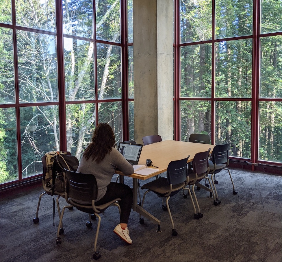 S&E library 3rd floor view of trees/ student studying