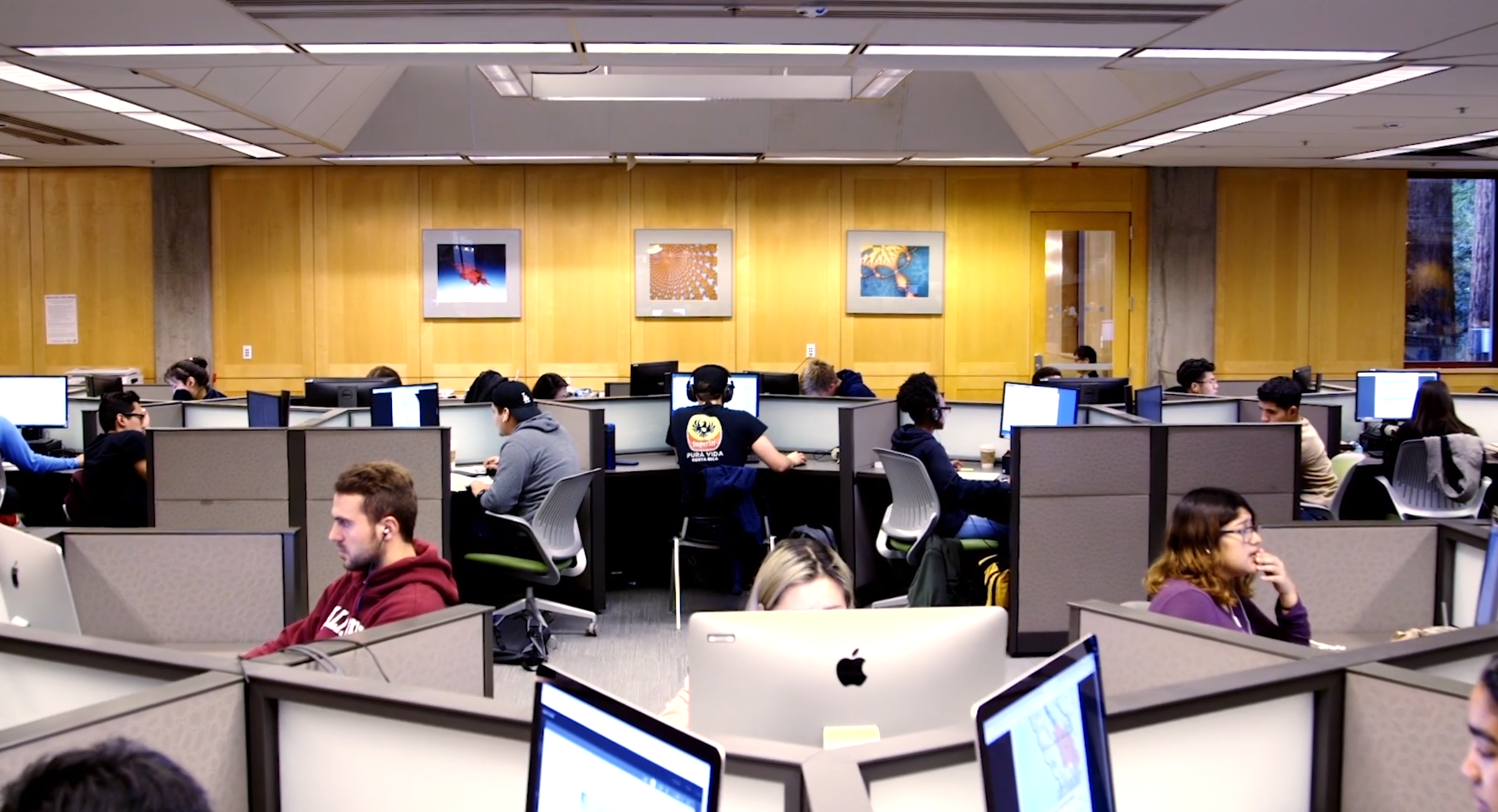 Students studying at the S&E library