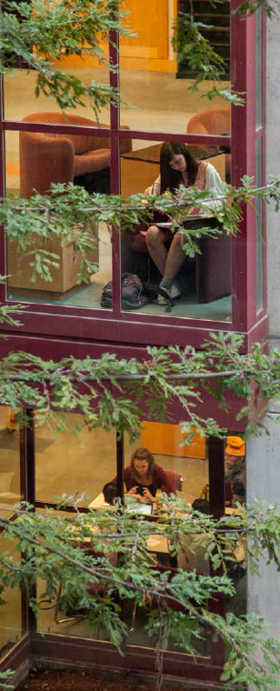 Students studying in library