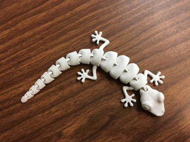 3D Lizard