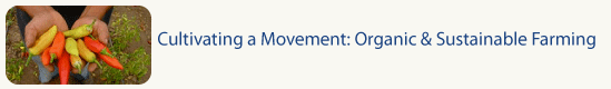 Cultivating a Movement