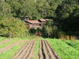 Timeline: Cultivating a Movement, An Oral History Series on Organic Farming  and Sustainable Agriculture on California's Central Coast