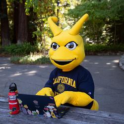 Sammy slug sitting with a laptop outside