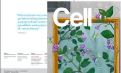 Lancet and Cell journal covers