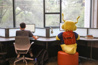 A student and banana slug mascot work side by side on library computers